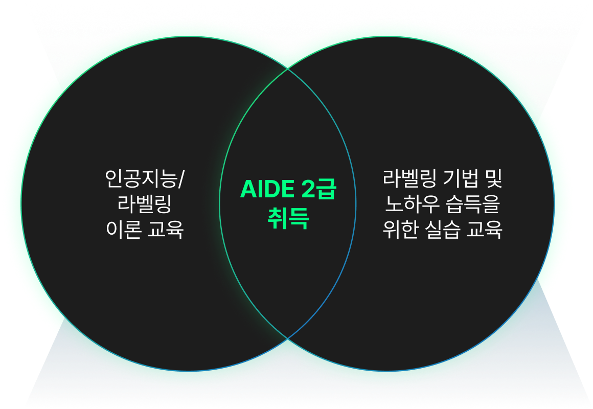 (인공지능 및 라벨링 이론 교육) (AIDE 2급 취득) (라벨링 기법 및 노하우 습득을 위한 실습 교육)