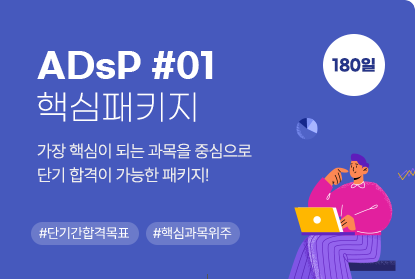 ADsP핵심과목단기합격패키지